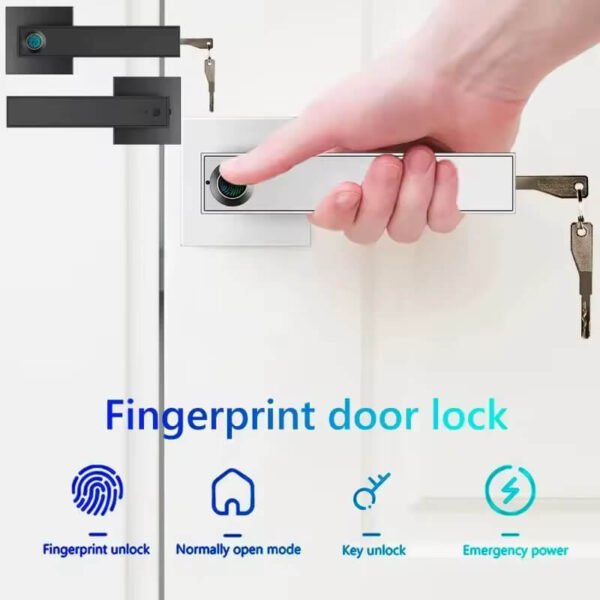 Cerradura Inteligente WiFi Negro/Gris